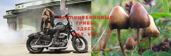 трава Абинск