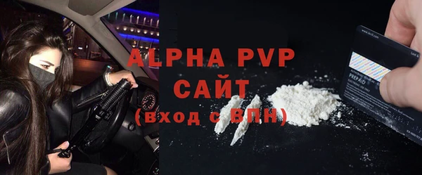 стафф Алексин